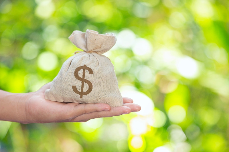 Una mano abierta sostiene un saco de tela con el símbolo de dólar sobre un fondo verde desenfocado de naturaleza.